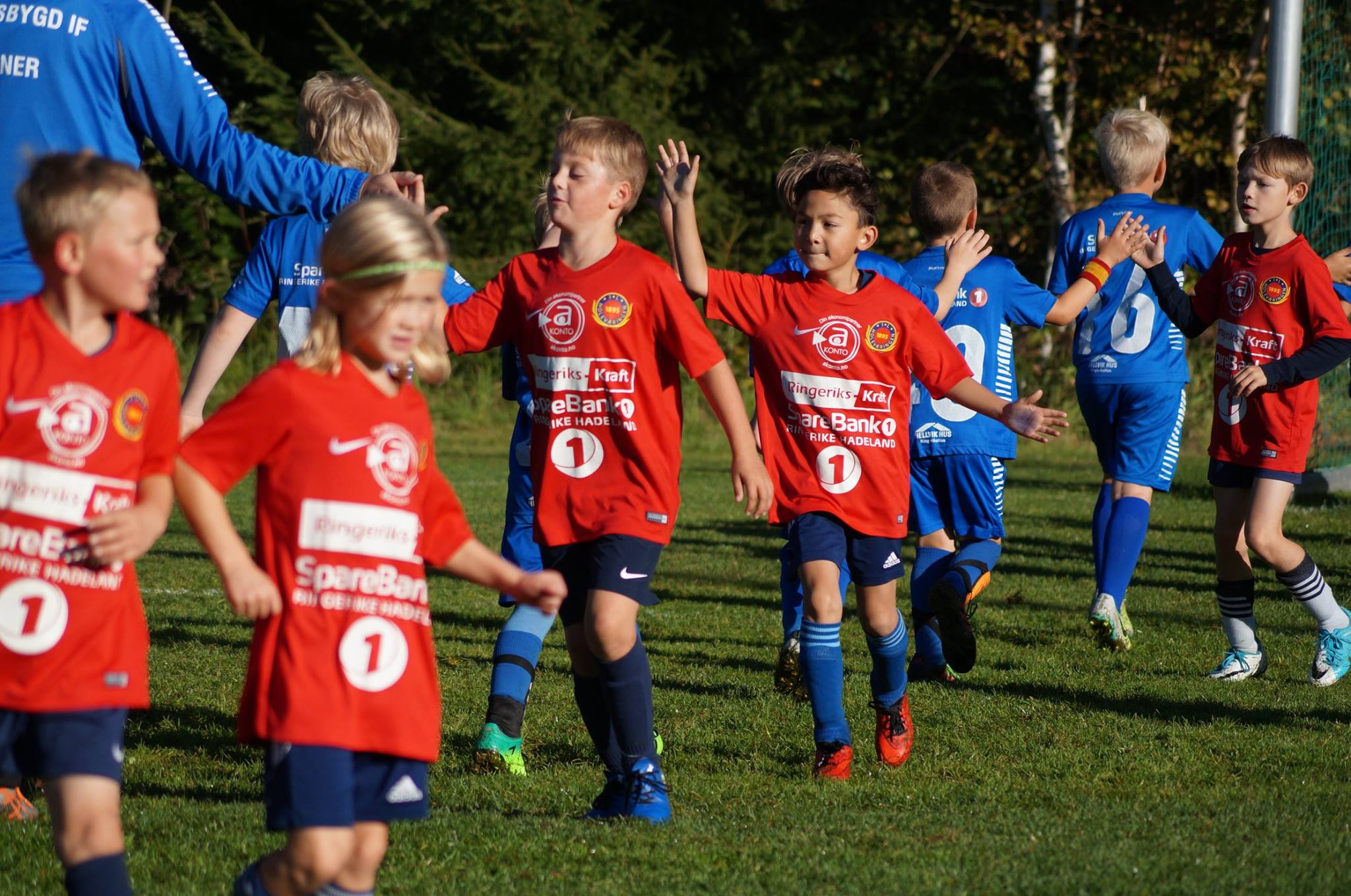 IL Holeværingen RingeriksKraft Cup IL Holeværingen